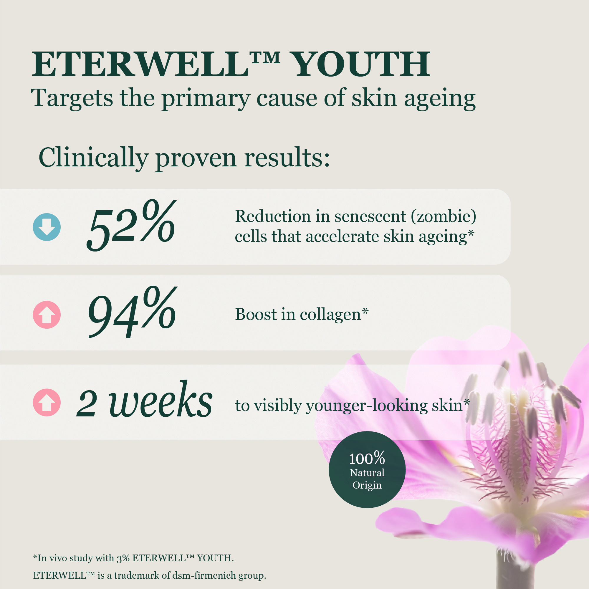 SUKIN TIME CAPSULE YOUTH RECHARGE NIGHT CREAM 50ML